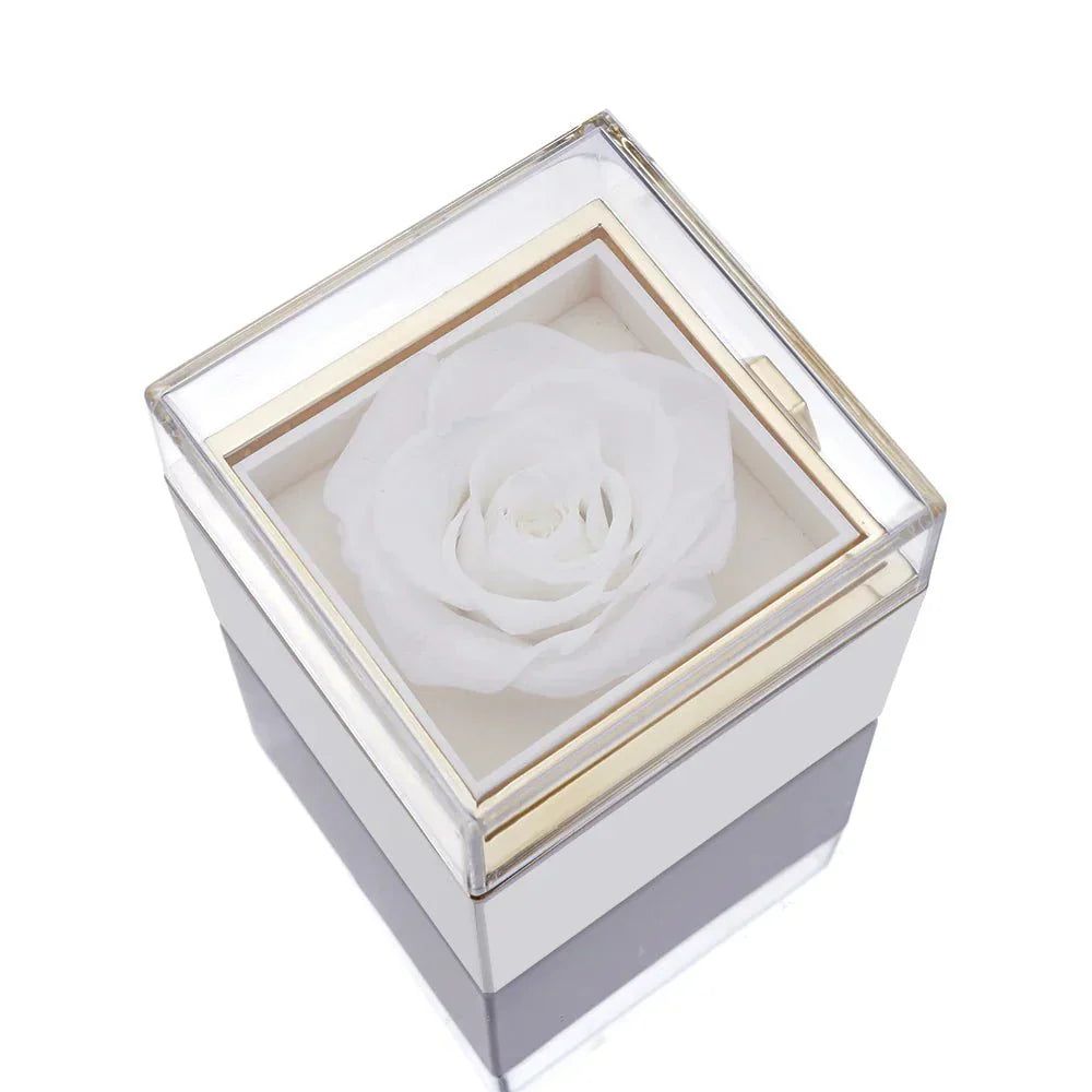 Elegant interlocking necklace displayed in a luxurious jewelry box, highlighting its timeless and sophisticated design.
